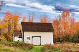 Autumn Scene_29372